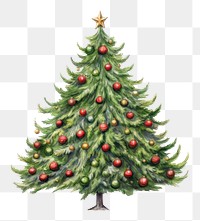 PNG Decorated christmas tree drawing plant pine. 