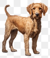 PNG Full body dog pet mammal animal. 