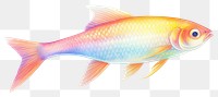 PNG Fishing hook goldfish animal  