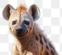 PNG  Wildlife mammal animal hyena. AI generated Image by rawpixel.