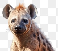 PNG Wildlife mammal animal hyena. 