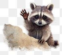 PNG Raccoon showing a rock gesture cartoon animal mammal. 