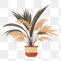 PNG Tropical plant houseplant flowerpot arecaceae. 