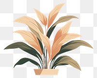 PNG Tropical plant houseplant floristry graphics. 