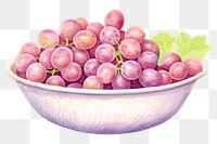 PNG Bowl grapes drawing plant fruit. 