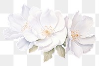 PNG White elegant flower wedding blossom petal plant. AI generated Image by rawpixel.