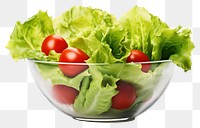 PNG Lettuce bowl vegetable tomato. 