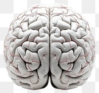 PNG Human brain tomography porcelain medical. AI generated Image by rawpixel.
