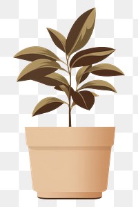 PNG Potted plant leaf houseplant terracotta. 