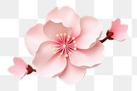 PNG Paper craft flower blossom petal.