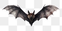 PNG Bat wildlife animal white background. AI generated Image by rawpixel.