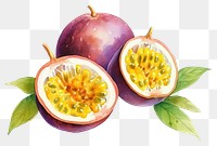 PNG Passionfruit plant food pomegranate. AI generated Image by rawpixel.