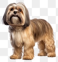 PNG Dog mammal animal pet. AI generated Image by rawpixel.