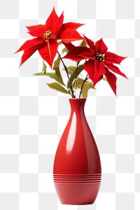 PNG Flower vase christmas plant. 