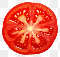 PNG Tomato slice vegetable juicy plant. 