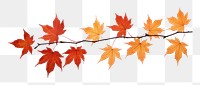 PNG Maple leaves branch plant leaf tree. 