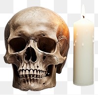 PNG Skull candle anthropology celebration. 