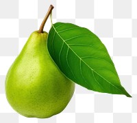 PNG Pear fruit plant green. 