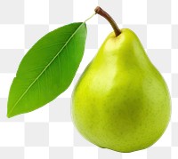 PNG Pear fruit plant green. 