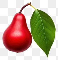 PNG Pear fruit green plant. AI generated Image by rawpixel.