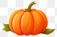 PNG Pumpkin vegetable plant food. AI generated Image by rawpixel.