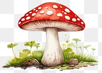 PNG Mushroom agaric fungus plant. AI generated Image by rawpixel.