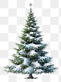 PNG Christmas tree plant white