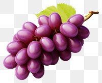 PNG Grapes fruit plant food. AI generated Image by rawpixel.