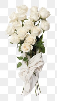 PNG White roses flower plant white background. AI generated Image by rawpixel.