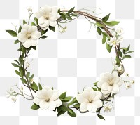 PNG Floral Wreath wreath flower plant. 