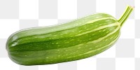 PNG Long gourd vegetable cucumber zucchini. 