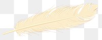 PNG Feather invertebrate lightweight softness. AI generated Image by rawpixel.