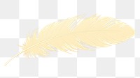 PNG Feather invertebrate lightweight accessories. AI generated Image by rawpixel.
