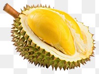 PNG Durian fruit plant food