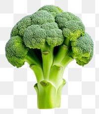 PNG Broccoli vegetable plant food. 