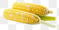 PNG Corn plant food white background. AI generated Image by rawpixel.