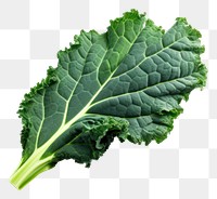 PNG Kale vegetable plant food. 