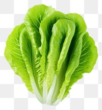 PNG Lettuce vegetable plant food. 