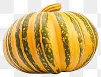 PNG Ribbed Gourd gourd vegetable pumpkin. 