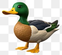 PNG Mallard green duck cartoon mallard animal. 