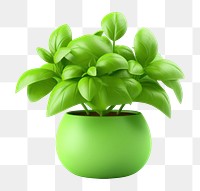 PNG Basil green plant vase. 