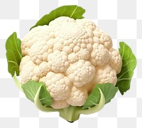 PNG Cauliflower vegetable plant food. 