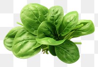 PNG Spinach vegetable plant food. 