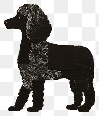 PNG Black Poodle dog poodle art mammal. AI generated Image by rawpixel.