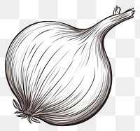 PNG Onion vegetable drawing food. 