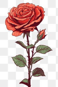 PNG Rose drawing flower plant. 