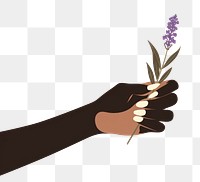 PNG Hand holding lavender finger flower female. 