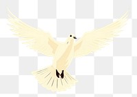 PNG Dove wildlife animal bird. AI generated Image by rawpixel.