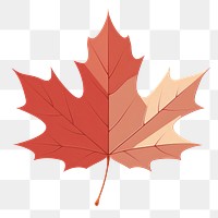 PNG Maple leaf plant tree. 