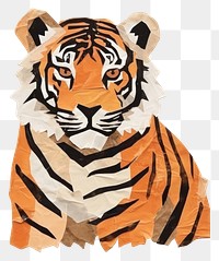 PNG Tiger art wildlife animal. 